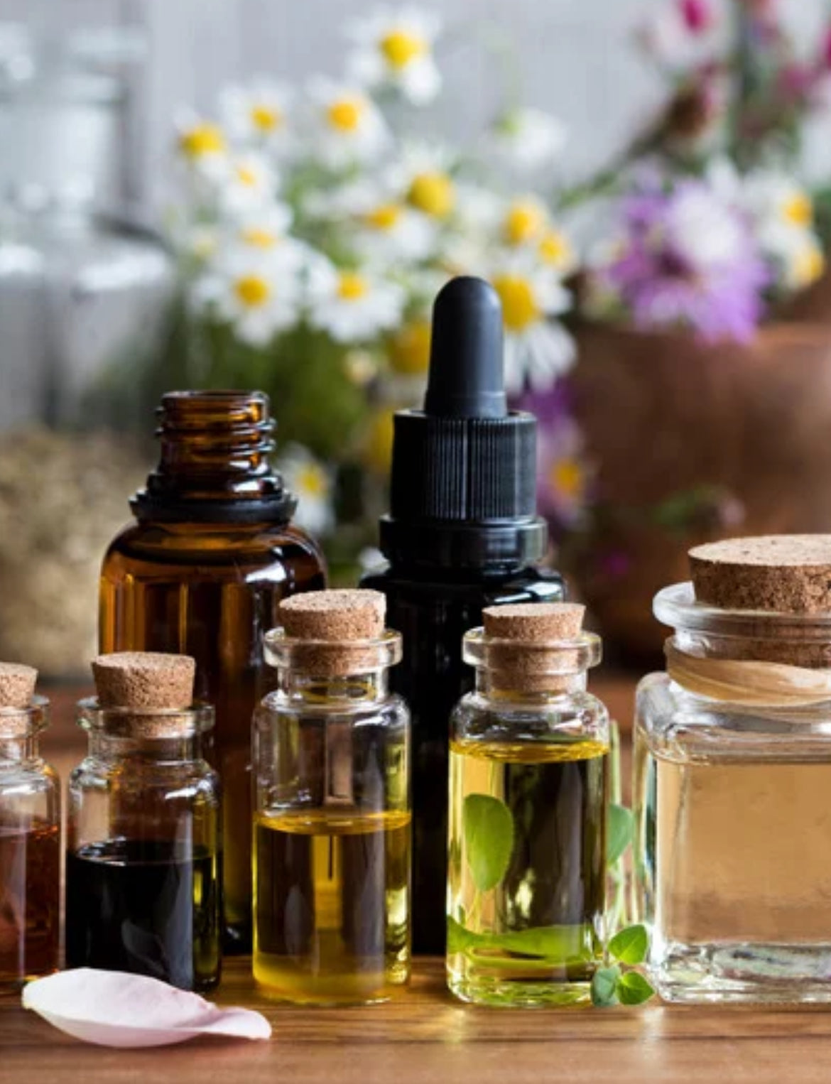 Intention Oil